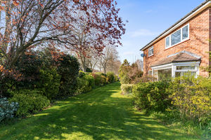 Photo 54- click for photo gallery